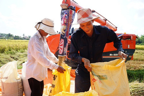 Quảng Nam: Tiếp sức cho nông dân ứng dụng CNTT